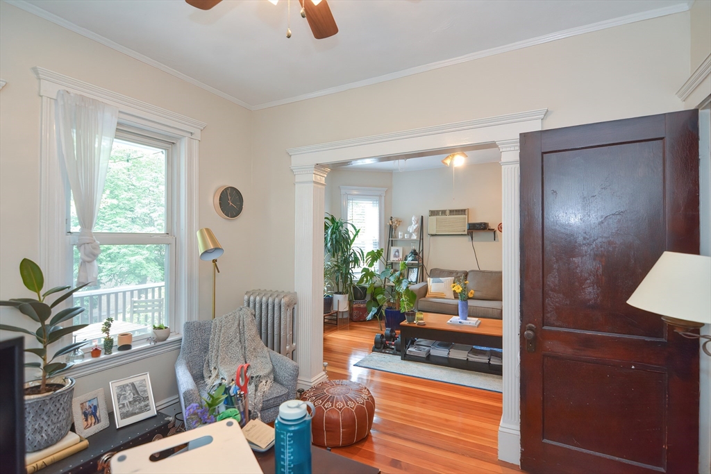 94 Browne Street Brookline, MA 02446 - Photo 17 of 35 a living room with furniture and a potted plant