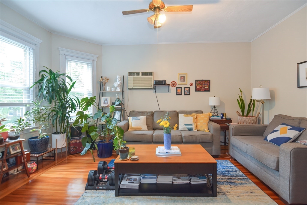 94 Browne Street Brookline, MA 02446 - Photo 8 of 35 a room with furniture and a potted plant