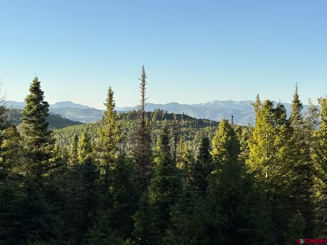 a view of a city with tall trees