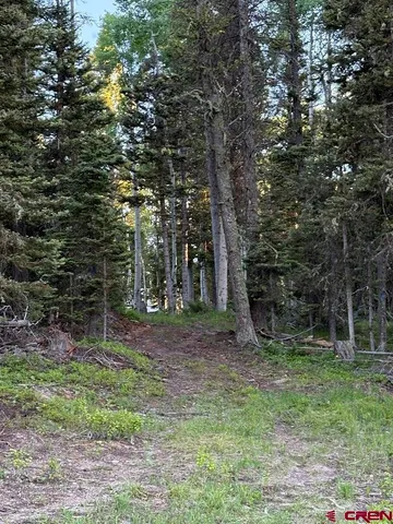 a view of outdoor space with trees