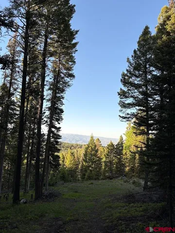a view of a yard with a tree