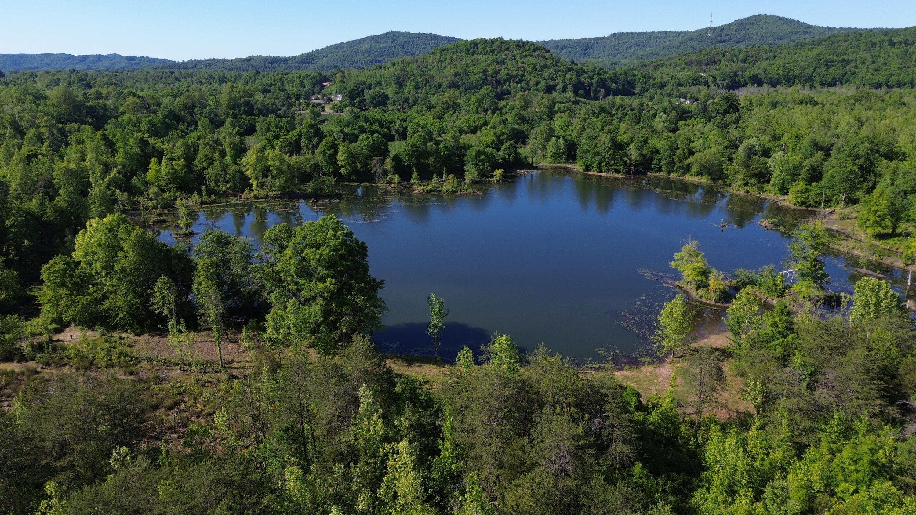 1635 Sandy Flats Road Williamsburg, KY 40769 - Photo 15 of 27 Large Pond 3