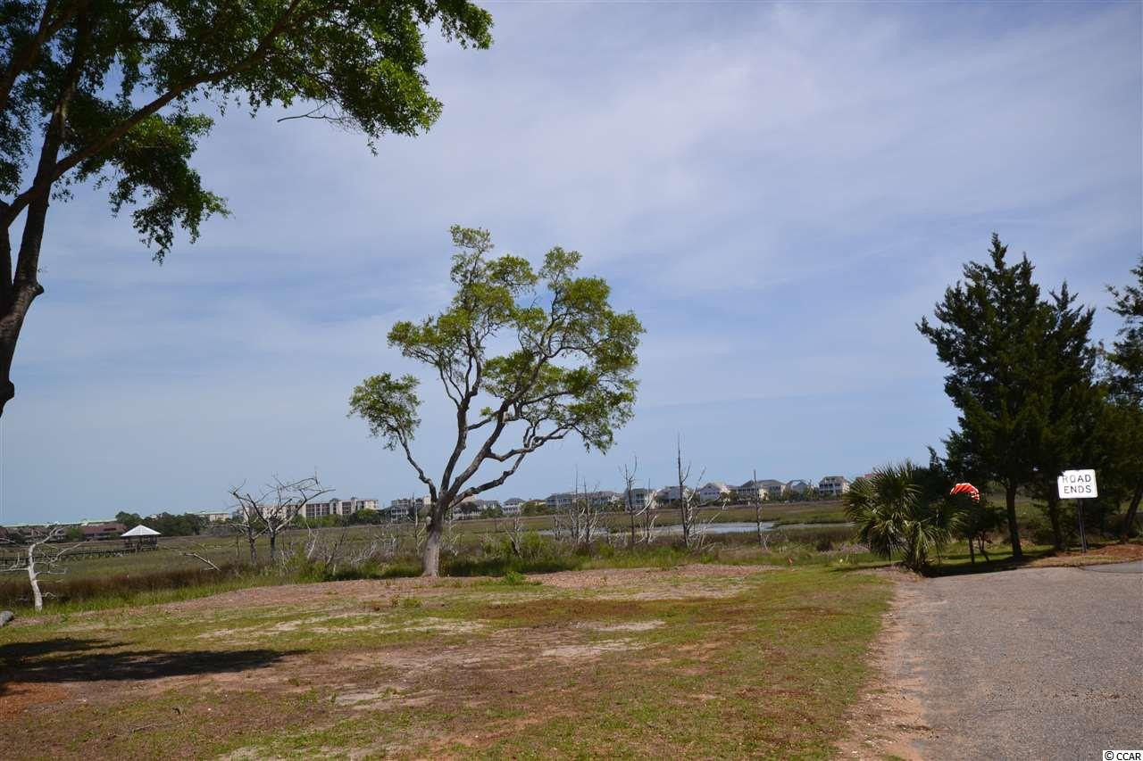 202 Sea Level Loop Pawleys Island, SC 29585 - Photo 12 of 17 Gallery Image 12