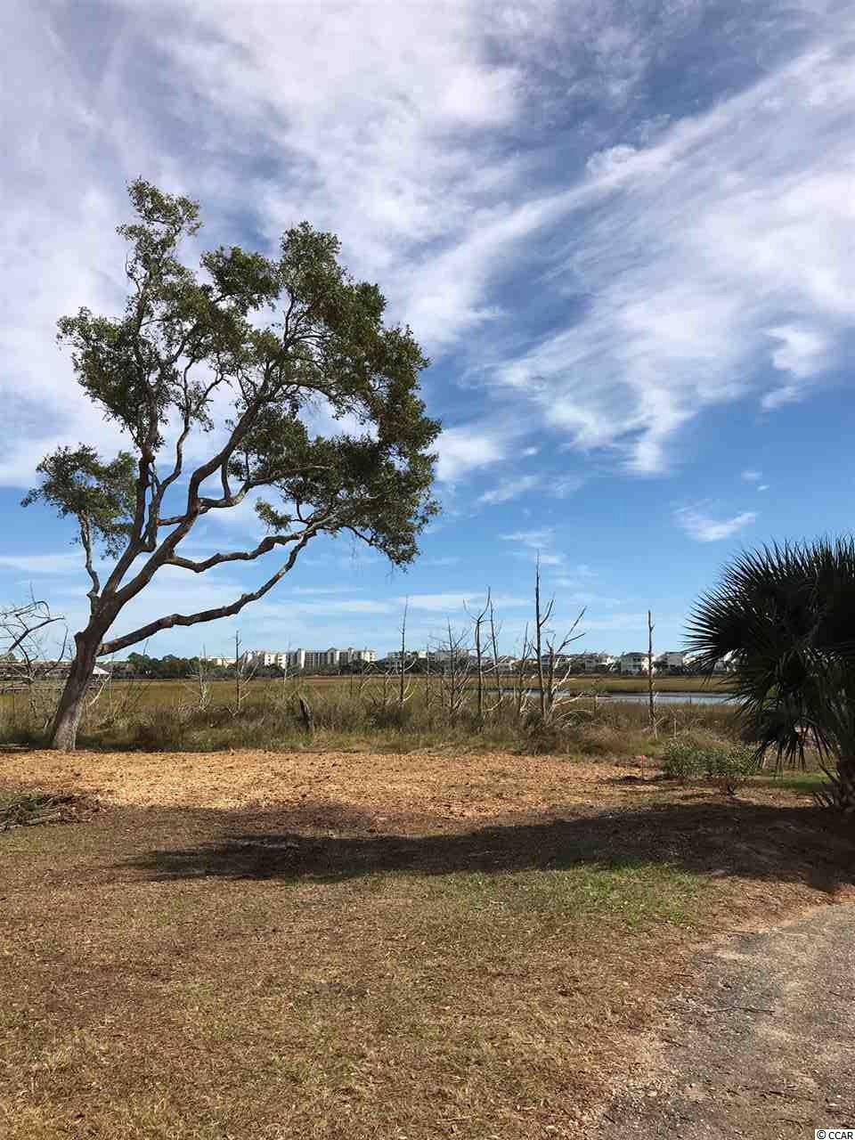 202 Sea Level Loop Pawleys Island, SC 29585 - Photo 13 of 17 Gallery Image 13