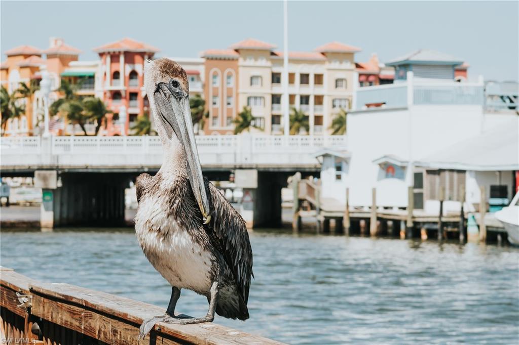 7270 Saona Court Naples, FL 34113 - Photo 35 of 46 a view of a swimming pool with outdoor seating