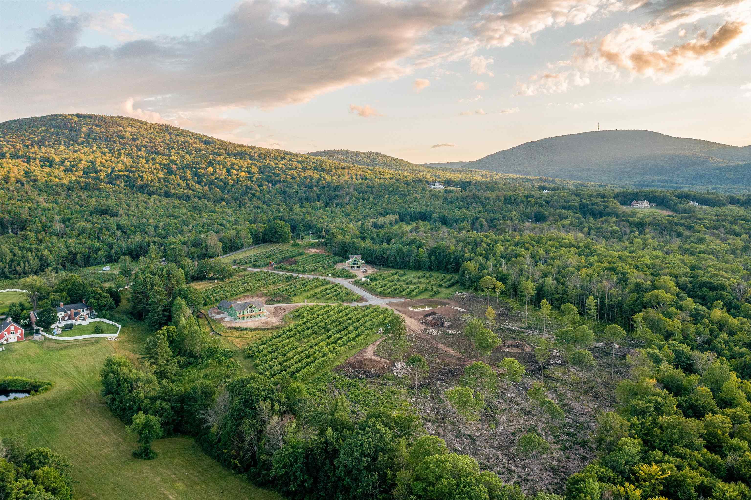21 Ginger Gold Way, Unit 8 005 Gilford, NH 03249 - Photo 5 of 25