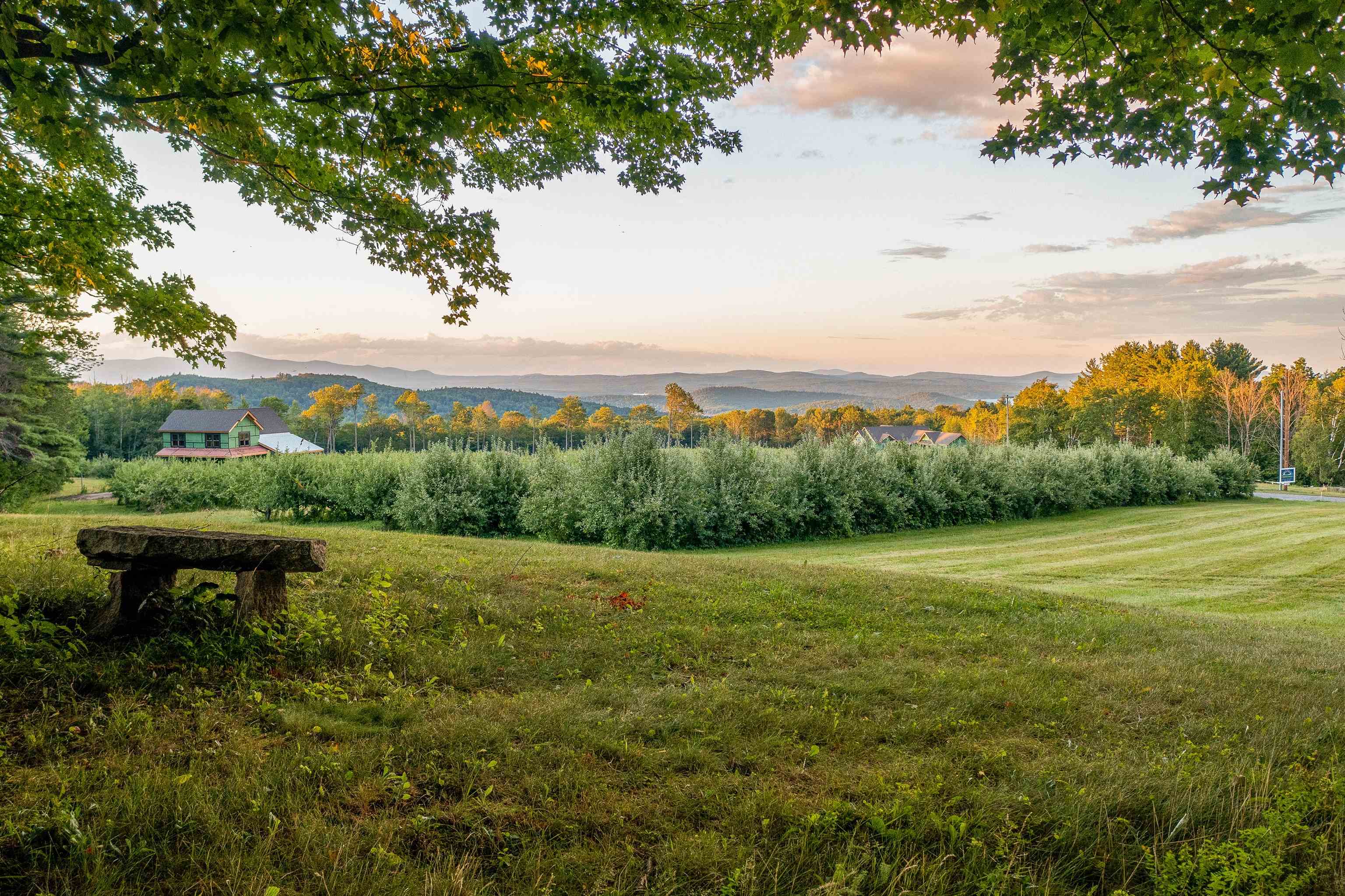 21 Ginger Gold Way, Unit 8 005 Gilford, NH 03249 - Photo 6 of 25