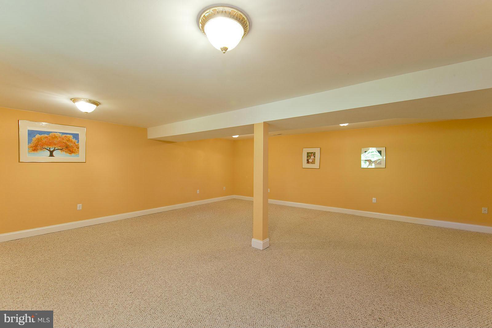 38 Spruce Road Front Royal, VA 22630 - Photo 24 of 30 Basement