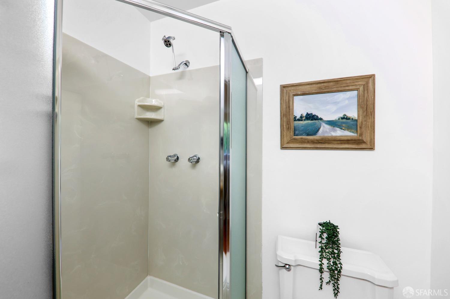 20 Point Reyes Way Pacifica, CA 94044 - Photo 33 of 78 a picture of a bathroom with a shower
