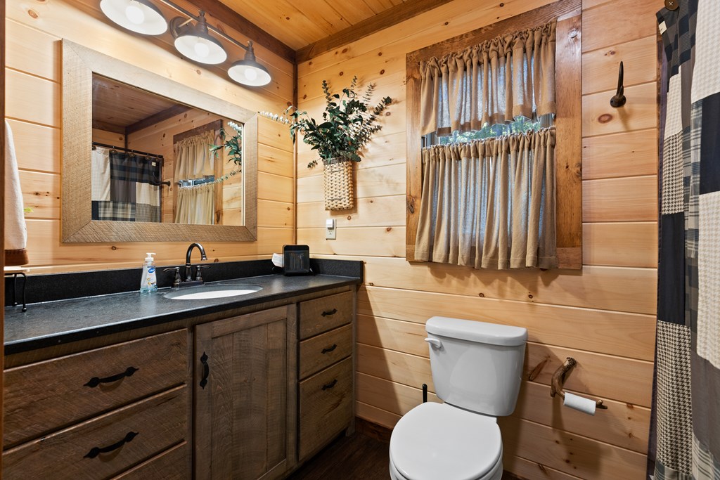 89 Whispering Hawk Trail Morganton, GA 30560 - Photo 16 of 33 a bathroom with a toilet a sink and mirror