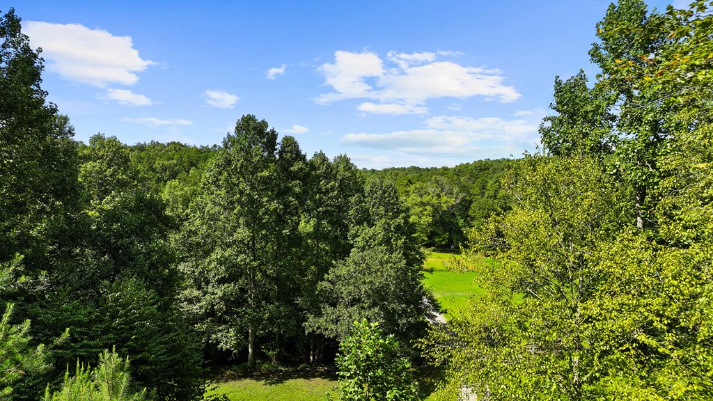 89 Whispering Hawk Trail Morganton, GA 30560 - Photo 33 of 33 a backyard of a house with lots of green space