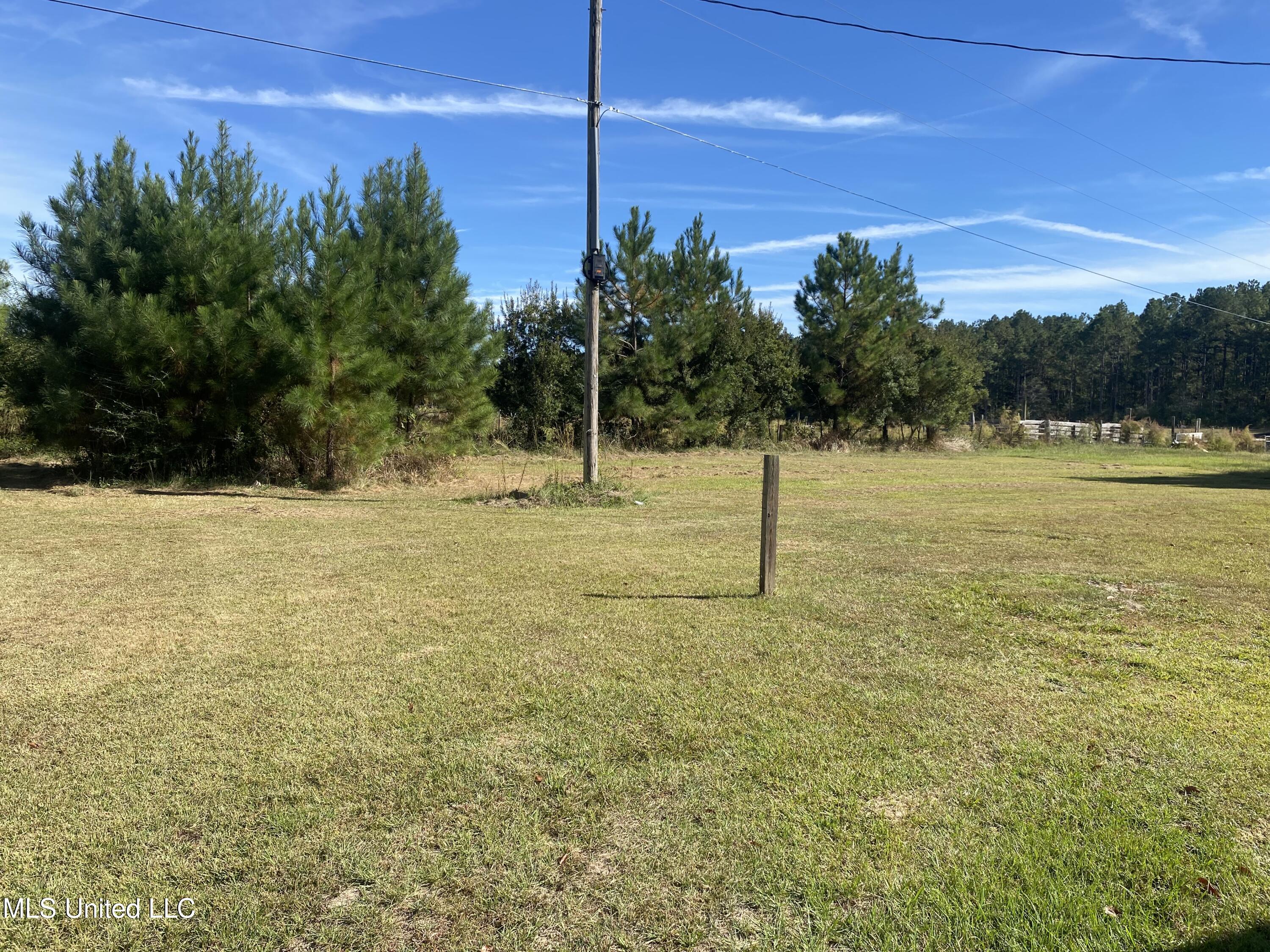 112 Pap Armstrong Road Wiggins, MS 39577 - Photo 15 of 17 Backyard