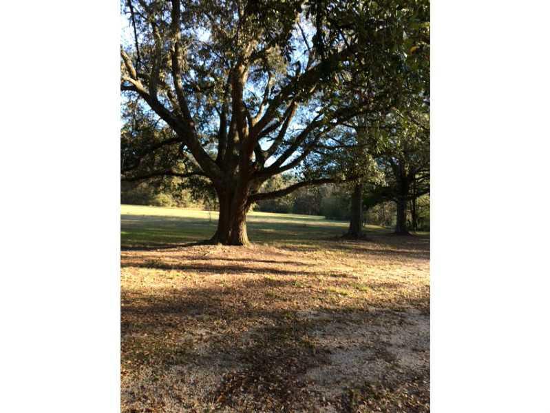 14192 Kohnke Hill Road Hammond, LA 70401 - Photo 3 of 7 Gallery Image 3