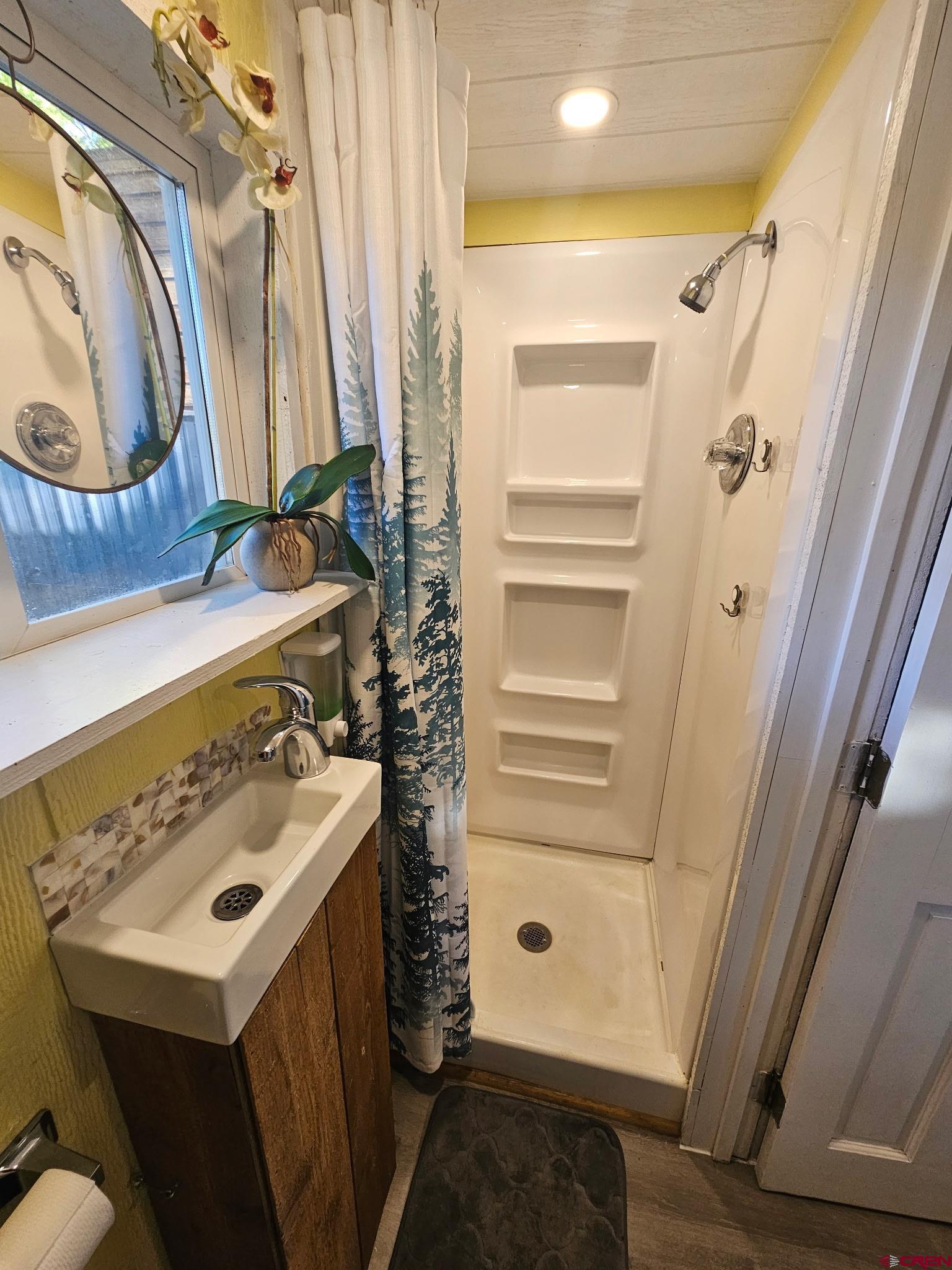 485 Florida Road, Unit C17 Durango, CO 81301 - Photo 10 of 11 a bathroom with a sink a mirror and shower