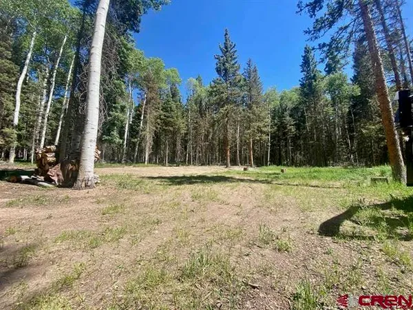 $115,000 | 1772 Spruce Road, Cimarron, CO 81220