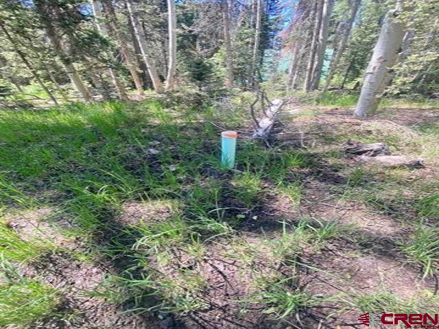 1772 Spruce Road Cimarron, CO 81220 - Photo 11 of 21 a view of yard