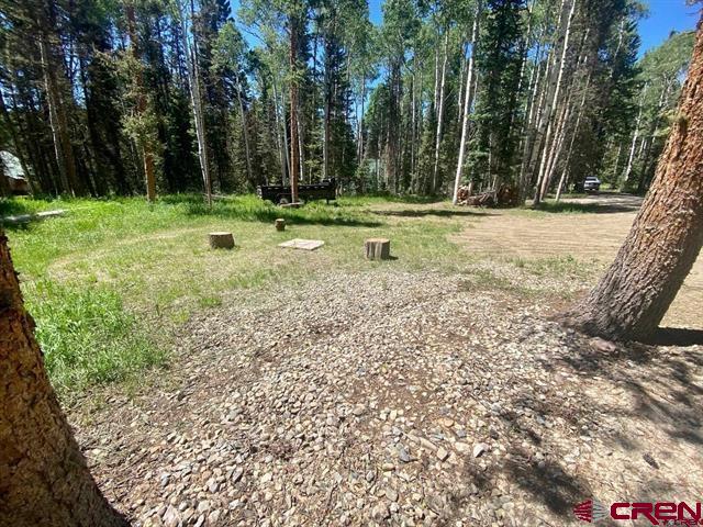 1772 Spruce Road Cimarron, CO 81220 - Photo 2 of 21 a backyard of a house with lots of green space