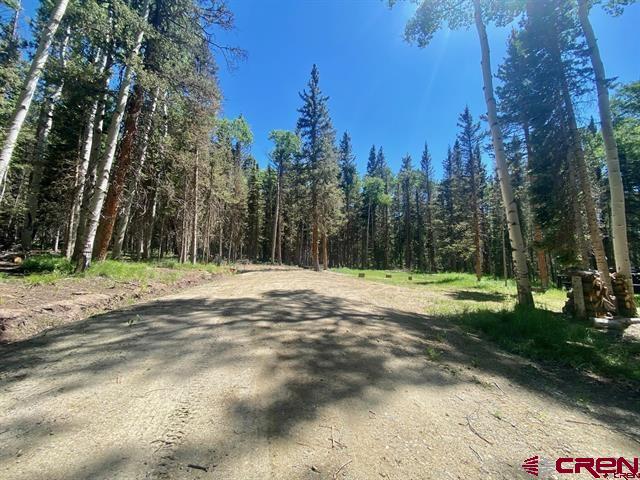 1772 Spruce Road Cimarron, CO 81220 - Photo 3 of 21 a view of outdoor space with trees