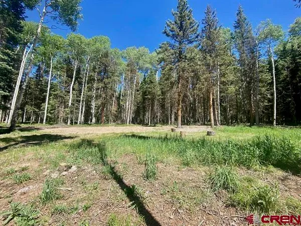 $115,000 | 1772 Spruce Road, Cimarron, CO 81220