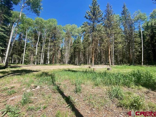 1772 Spruce Road Cimarron, CO 81220 - Photo 4 of 21 a view of a yard with large trees