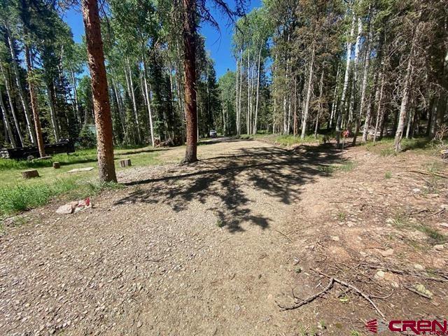 1772 Spruce Road Cimarron, CO 81220 - Photo 5 of 21 a view of road with trees