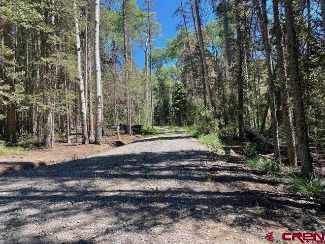 1772 Spruce Road Cimarron, CO 81220 - Photo 6 of 21 a view of a yard with trees