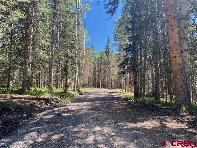 1772 Spruce Road Cimarron, CO 81220 - Photo 7 of 21 a view of road with large trees
