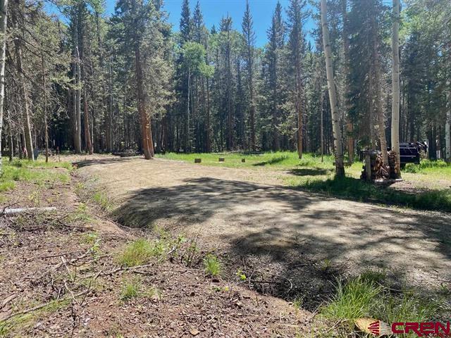 1772 Spruce Road Cimarron, CO 81220 - Photo 8 of 21 a view of a yard with trees