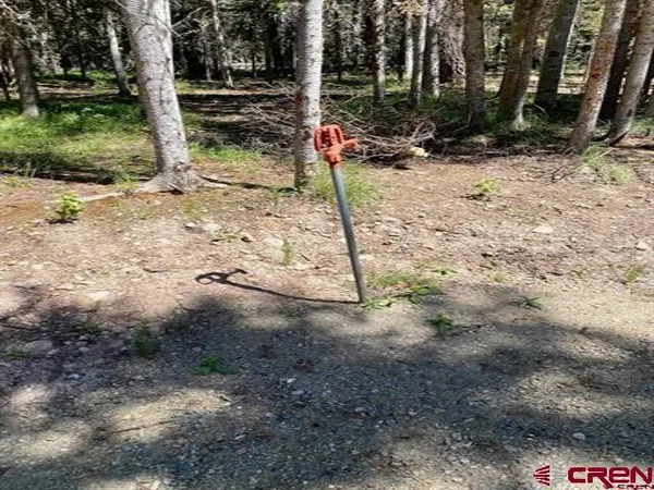 $115,000 | 1772 Spruce Road, Cimarron, CO 81220