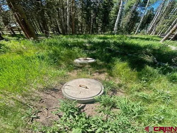 $115,000 | 1772 Spruce Road, Cimarron, CO 81220