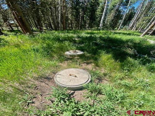 1772 Spruce Road Cimarron, CO 81220 - Photo 10 of 21 a view of a backyard with a fountain