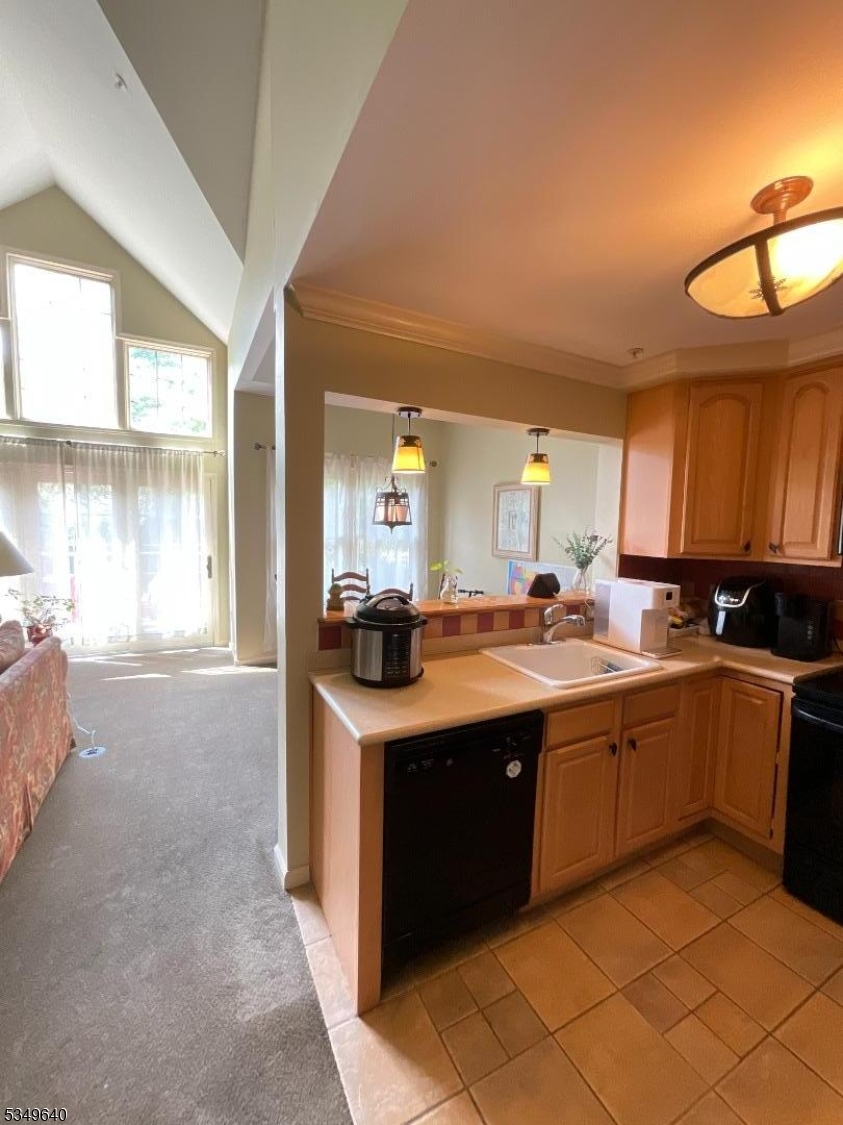 4-21 Maple Crescent, Unit 22 Vernon, NJ 07462 - Photo 6 of 25 a kitchen with a sink and cabinets