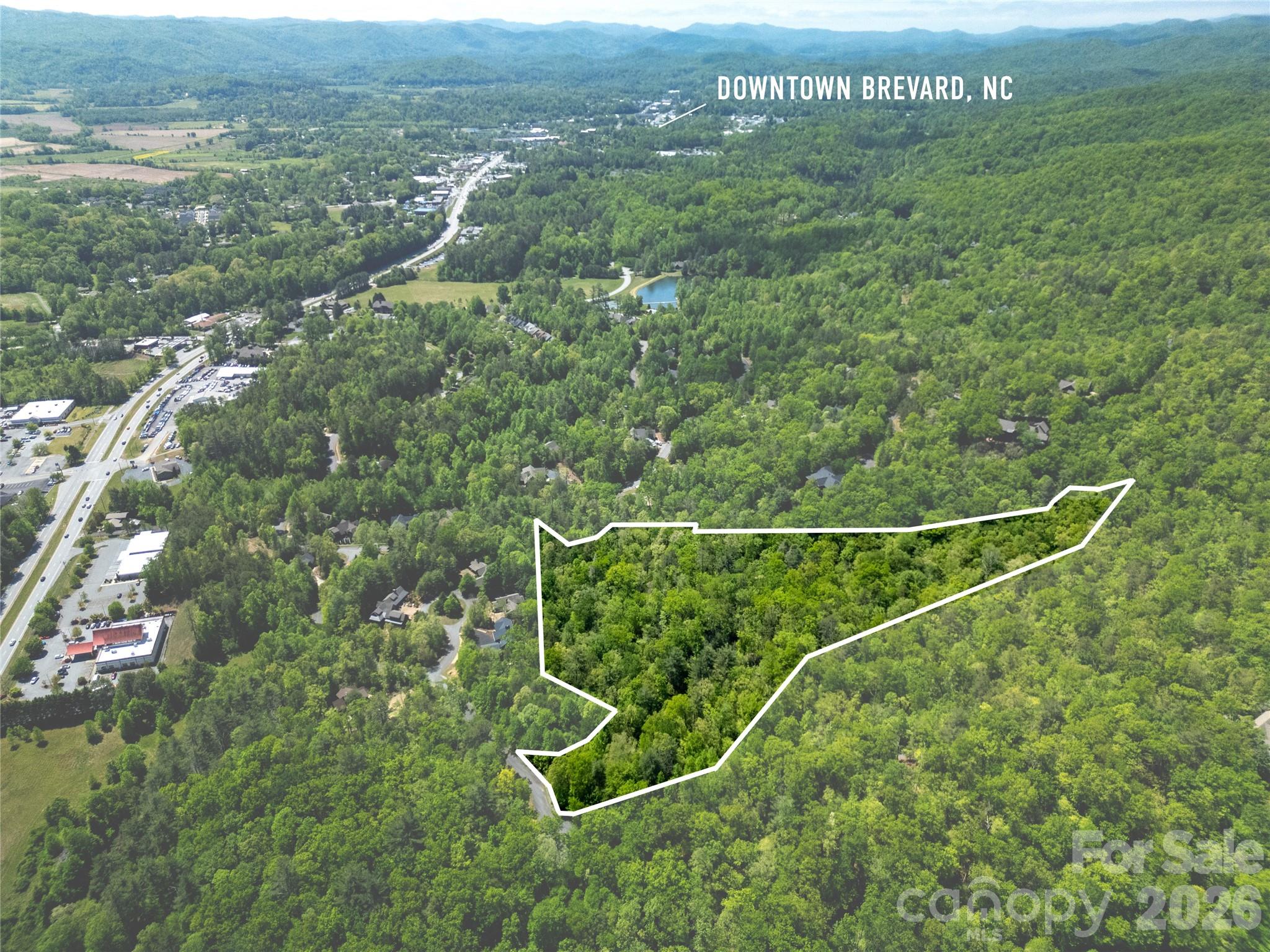 Tbd Springhouse Trail, Unit L15 Brevard, NC 28712 - Photo 4 of 21