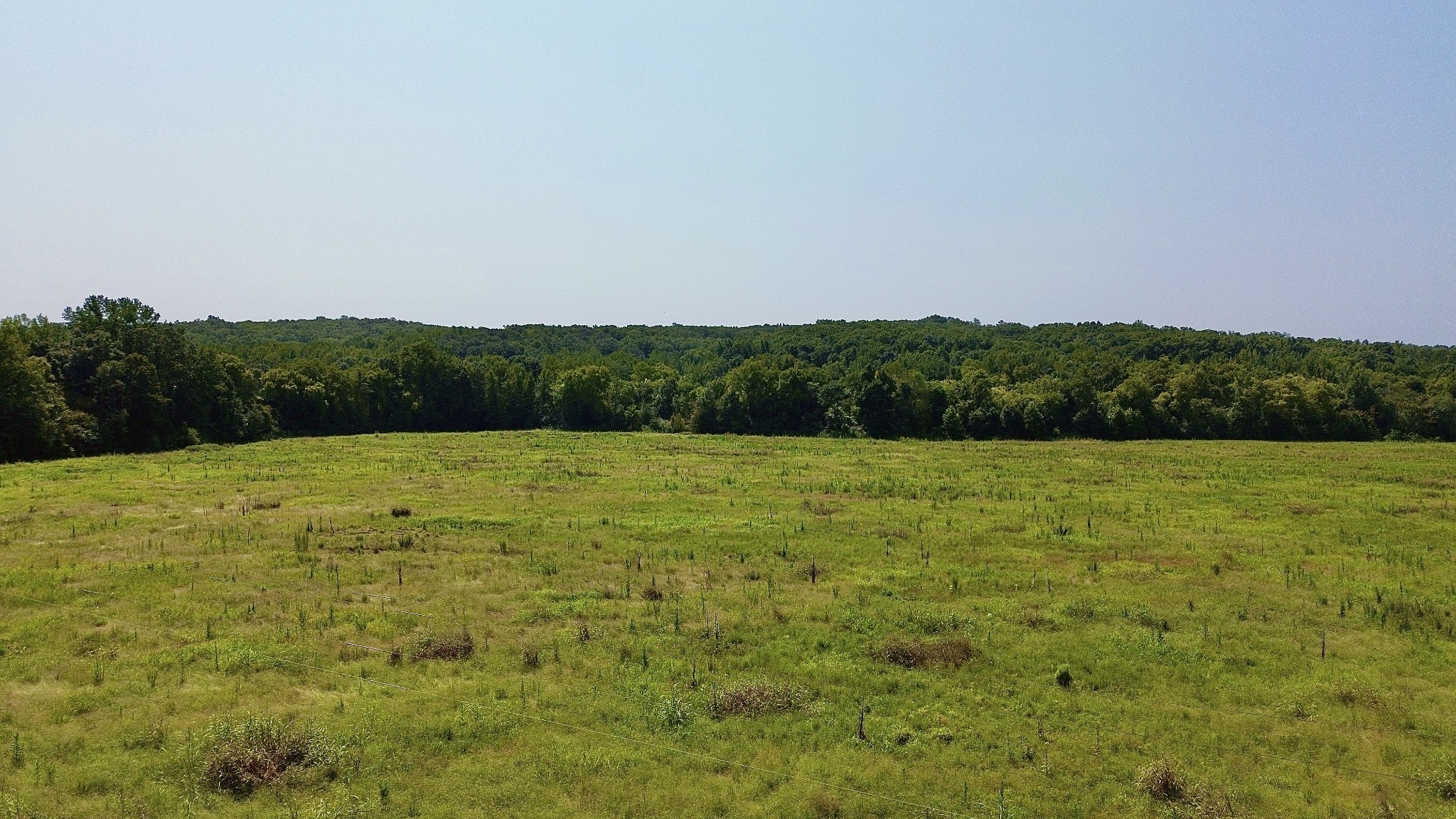 0 Danville Road Big Sandy, TN 38221 - Photo 5 of 13 Gallery Image 5