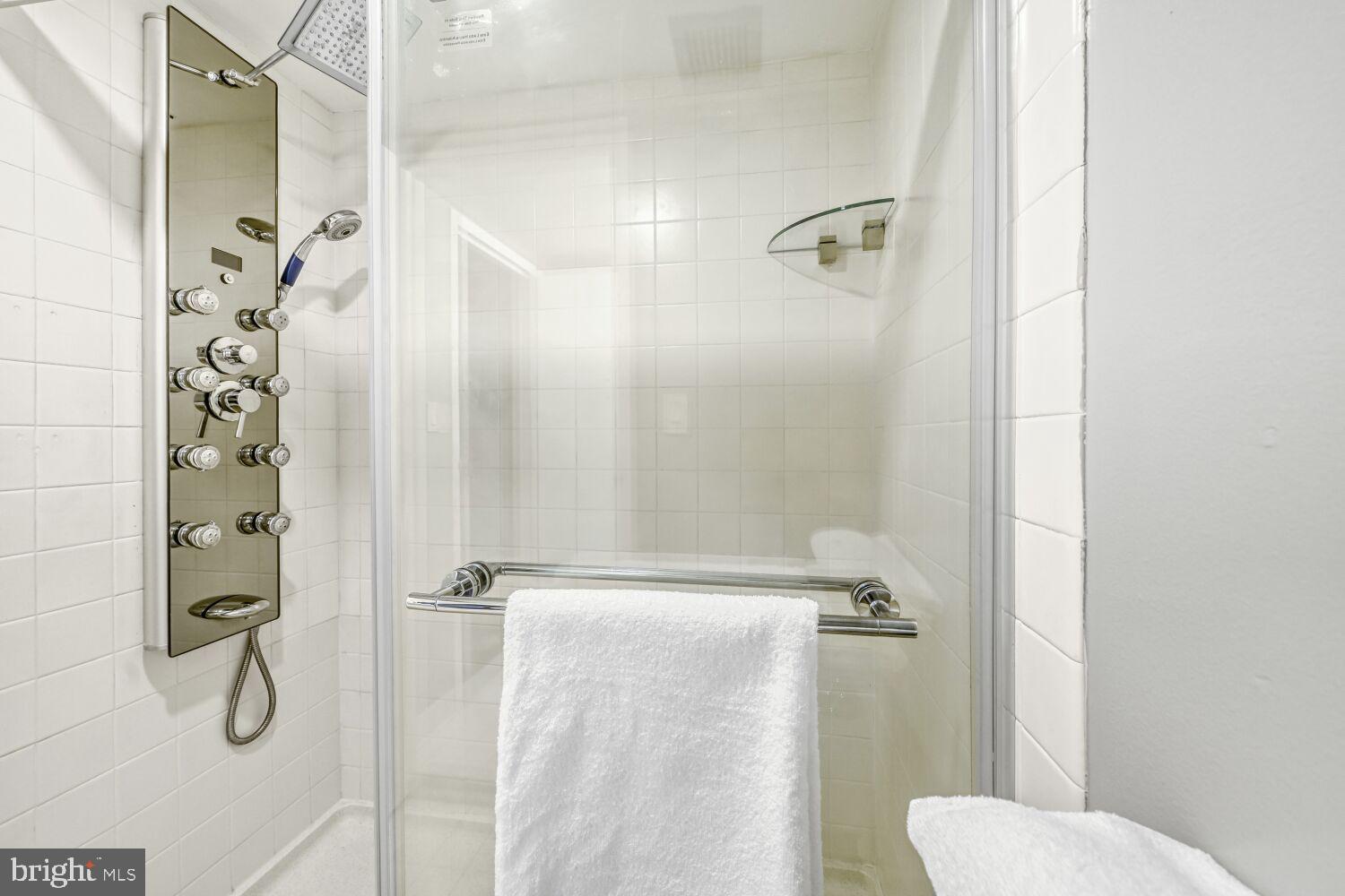 205 East Joppa Road, Unit 808 Towson, MD 21286 - Photo 24 of 37 Spa shower has multiple full-body jets