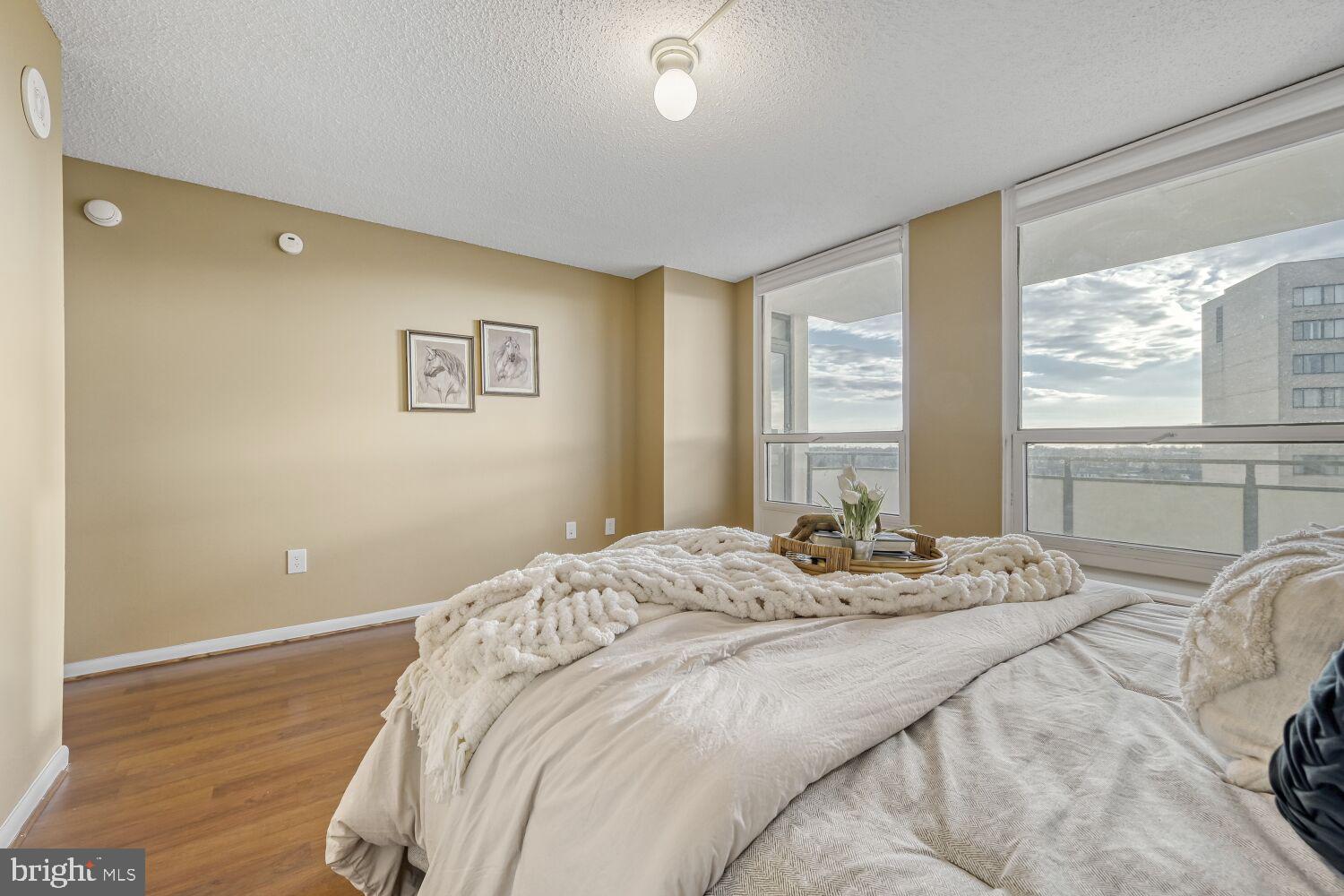205 East Joppa Road, Unit 808 Towson, MD 21286 - Photo 26 of 36 Guest bedroom is huge with a walk-in closet
