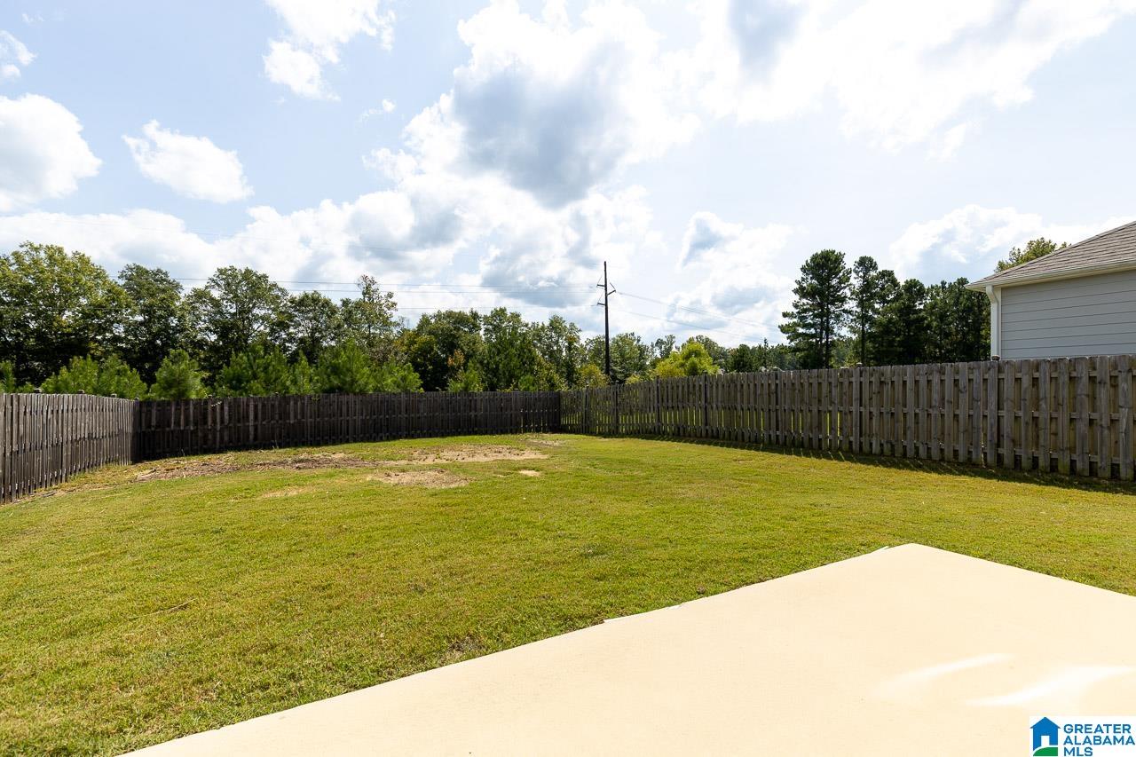 1056 Park View Drive Chelsea, AL 35043 - Photo 31 of 32