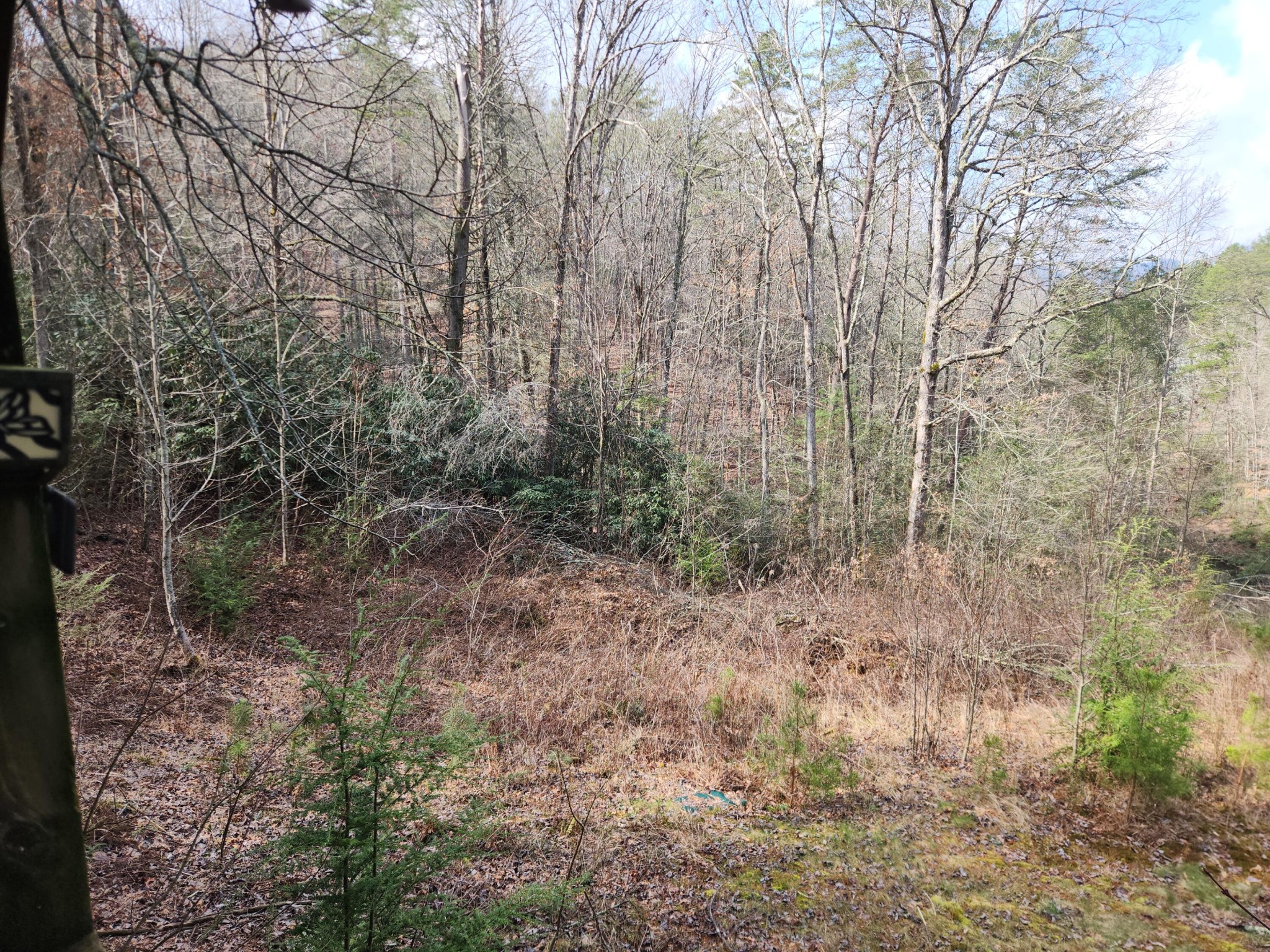 460 Tallent Road Copperhill, TN 37317 - Photo 39 of 52 Gallery Image 39