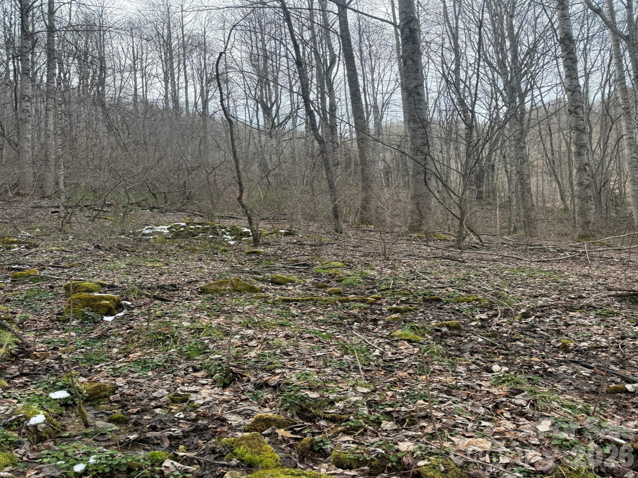 Tbd 1.21-acres Tbd 1.21-acres Jass Cove Road Marshall, NC 28753 - Photo 5 of 9 a view of a backyard of the house