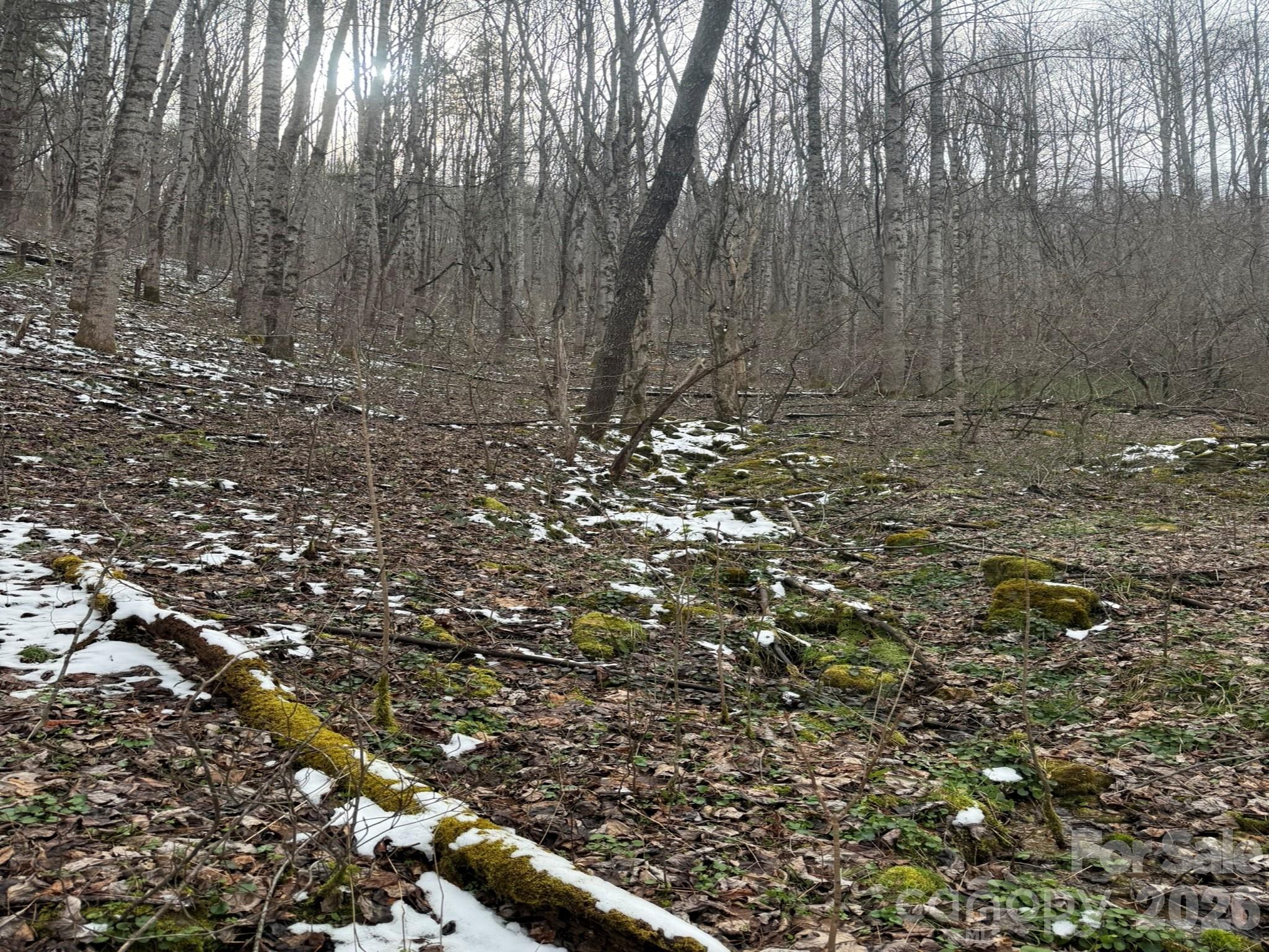 Tbd 1.21-acres Tbd 1.21-acres Jass Cove Road Marshall, NC 28753 - Photo 6 of 9 a view of a yard