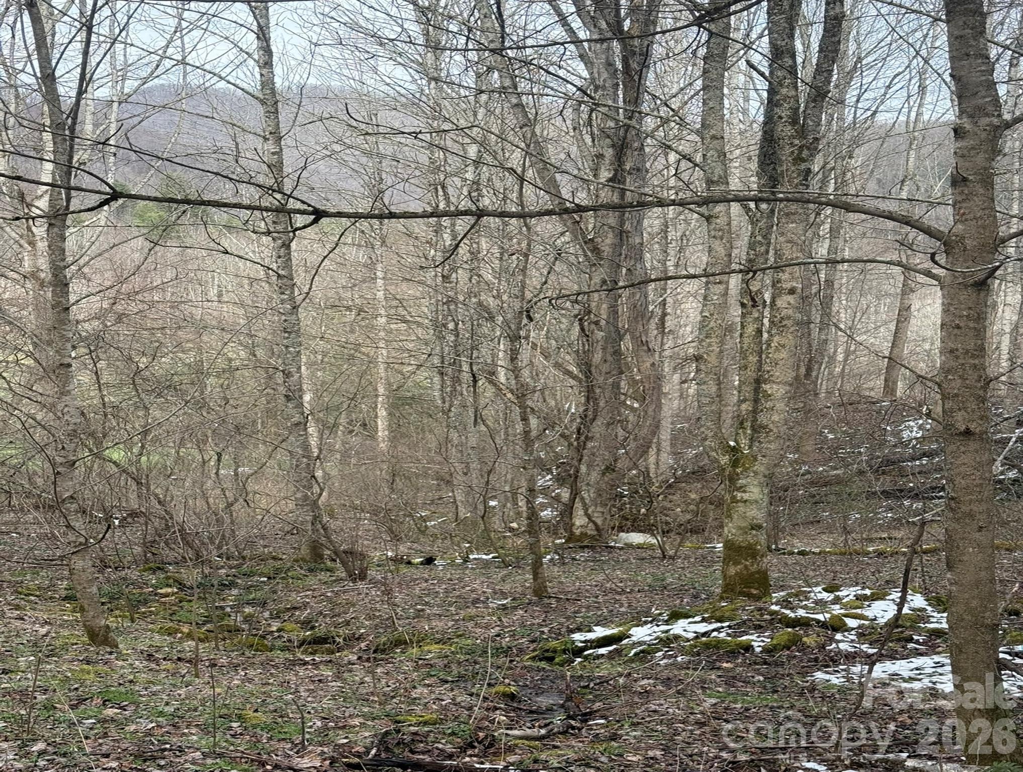 Tbd 1.21-acres Tbd 1.21-acres Jass Cove Road Marshall, NC 28753 - Photo 7 of 9 a bathroom with a shower