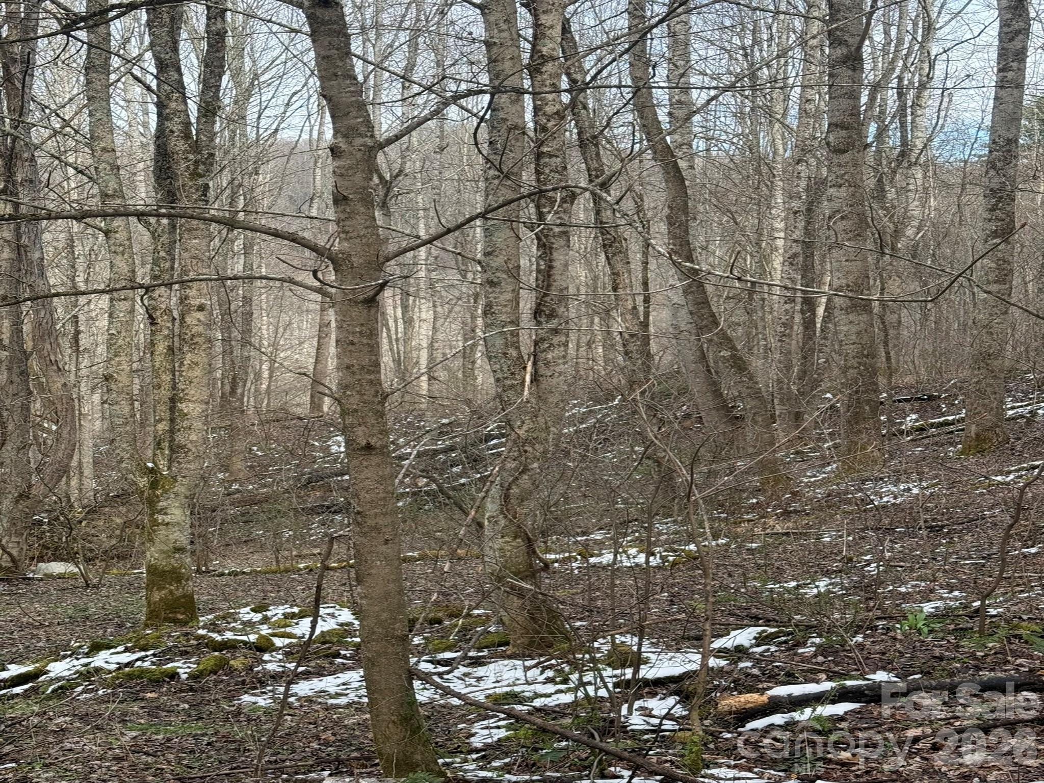 Tbd 1.21-acres Tbd 1.21-acres Jass Cove Road Marshall, NC 28753 - Photo 8 of 9 a backyard of a house