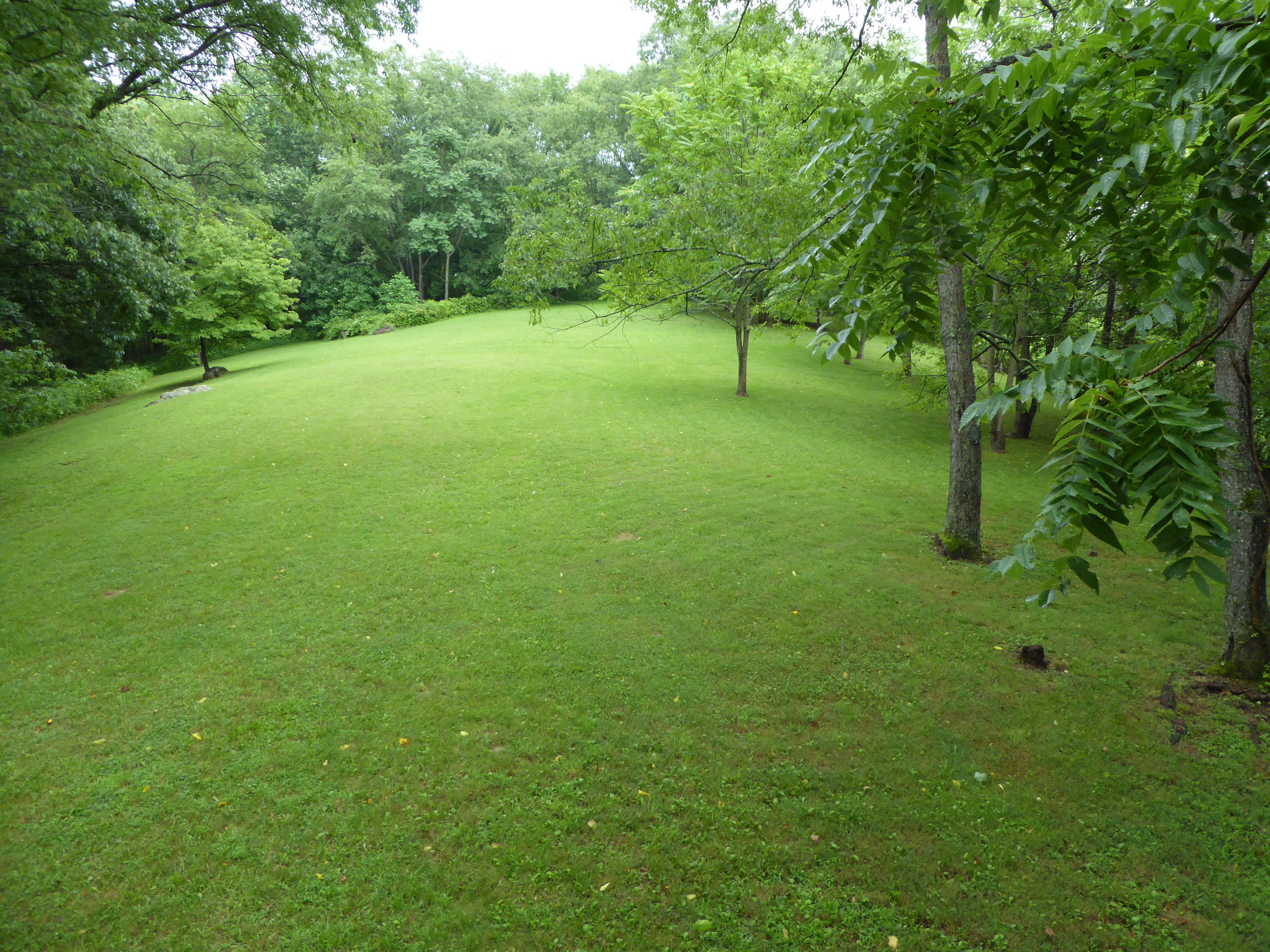 2115 Rutrough Road Southeast Roanoke, VA 24014 - Photo 13 of 52 Back Yard