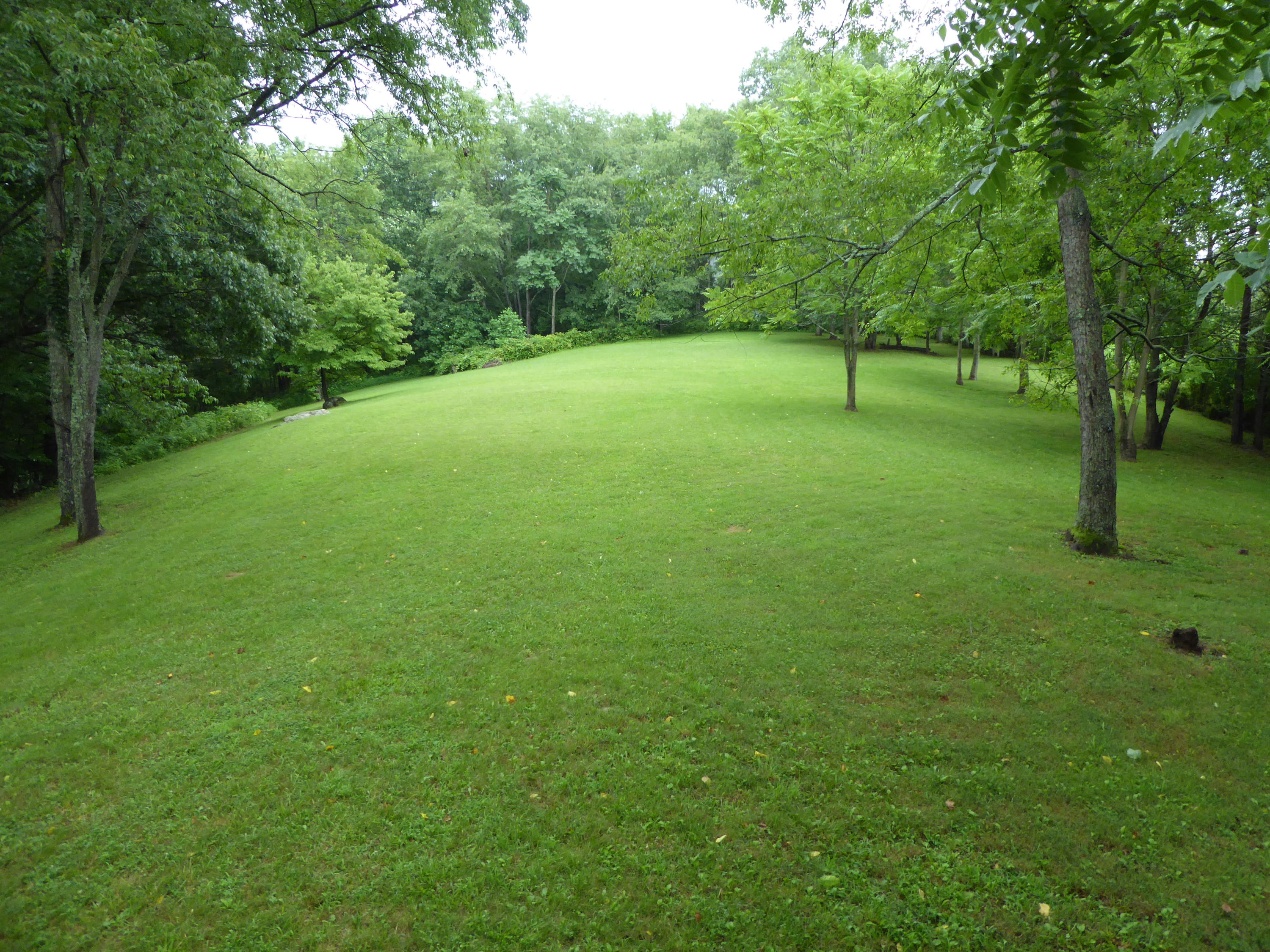 2115 Rutrough Road Southeast Roanoke, VA 24014 - Photo 46 of 52 Back Yard