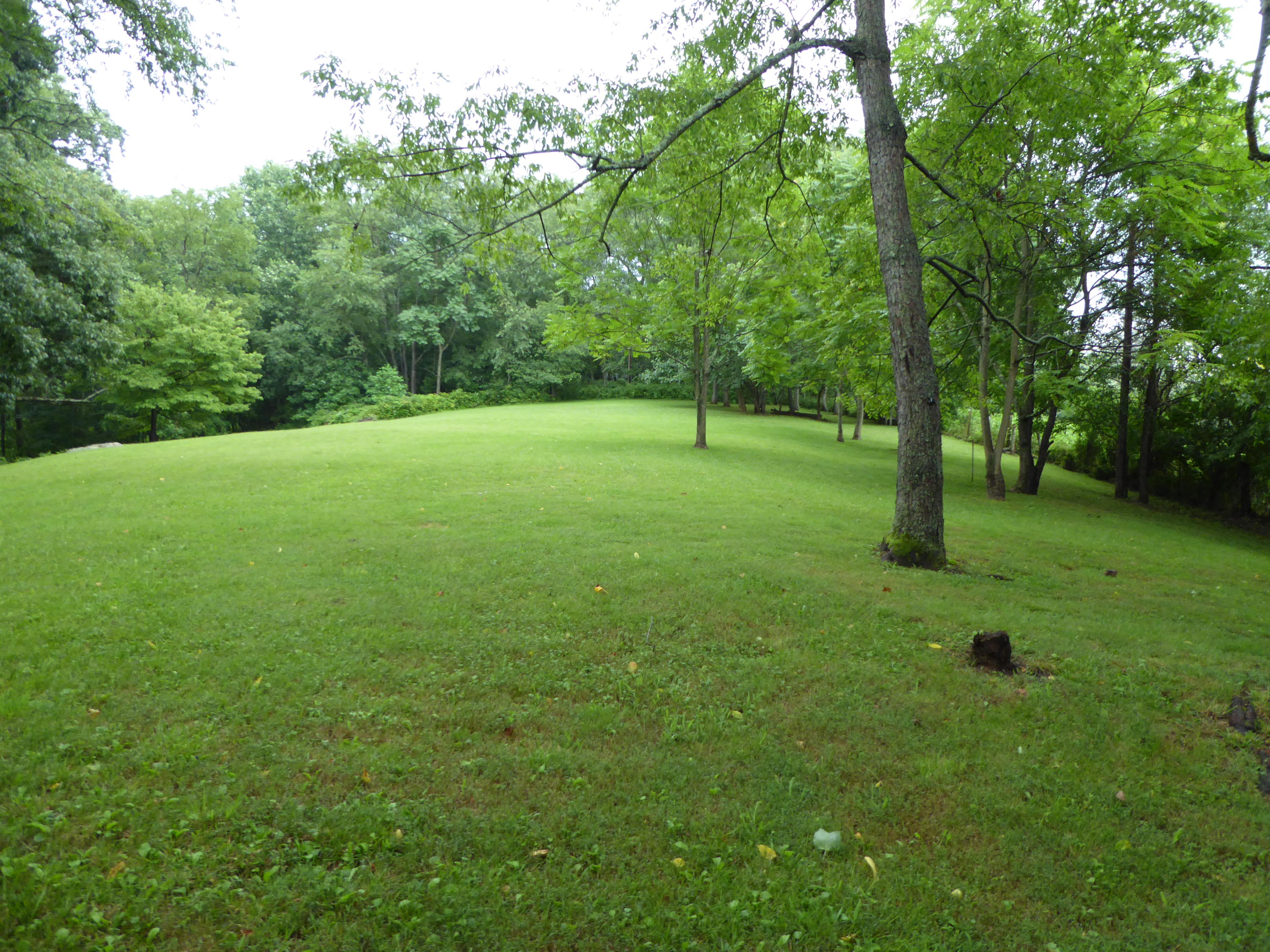 2115 Rutrough Road Southeast Roanoke, VA 24014 - Photo 47 of 52 Back Yard