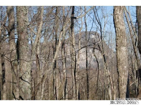 Tbd Hardscrabble Ridge Road Highlands, NC 28741 - Photo 1 of 1 Gallery Image 1