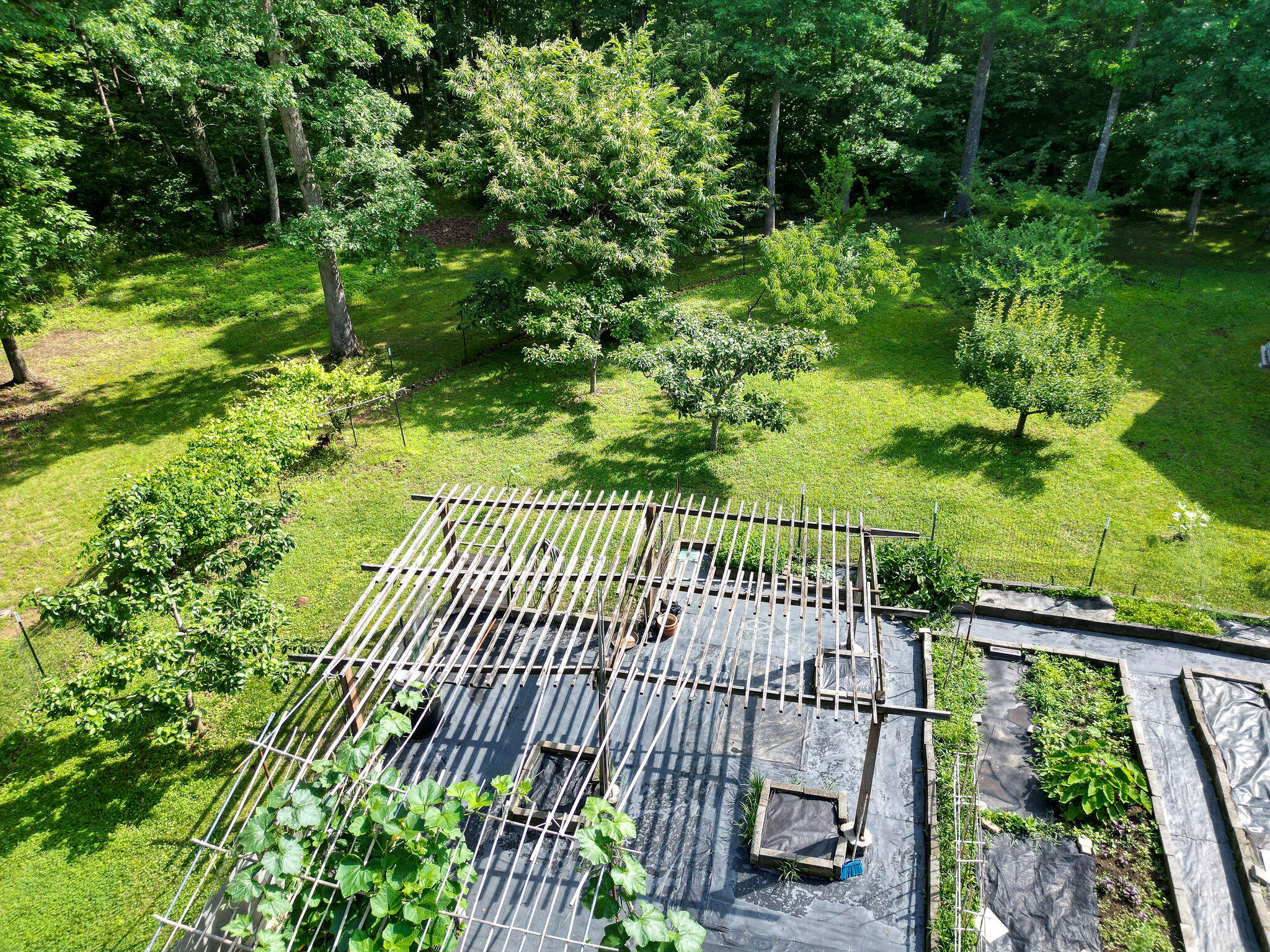 758 Old State Road Menlo, GA 30731 - Photo 60 of 69 DJI_0432