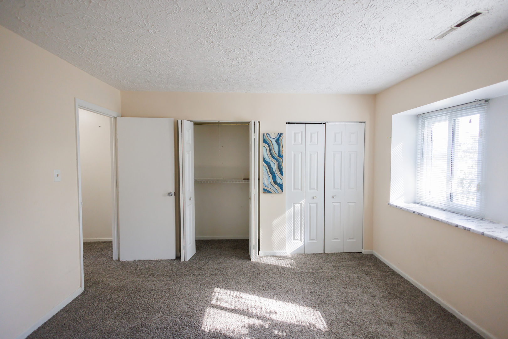 1119 South Curtis Avenue, Unit F62 Kankakee, IL 60901 - Photo 17 of 32 an empty room with windows and closet