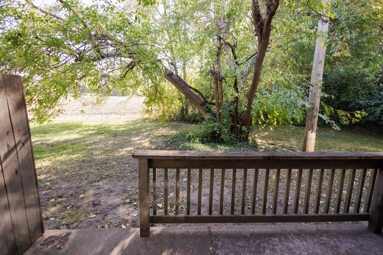1119 South Curtis Avenue, Unit F62 Kankakee, IL 60901 - Photo 31 of 32 a view of a yard with large trees
