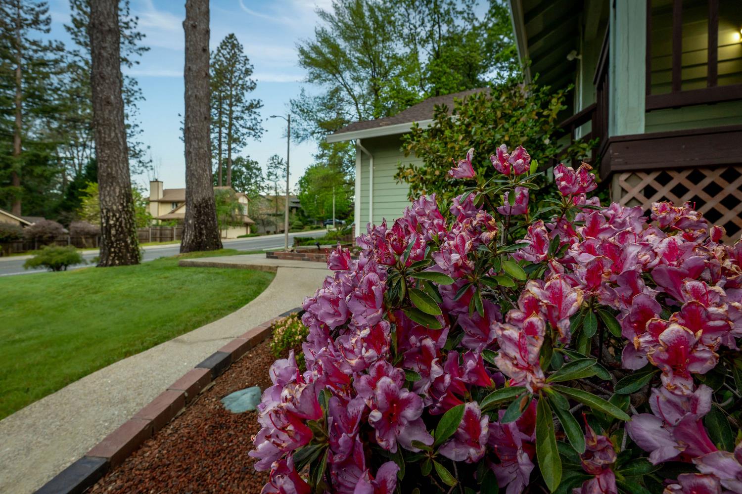 592 Morgan Ranch Drive Grass Valley, CA 95945 - Photo 3 of 49